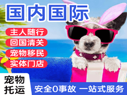 菏泽牡丹空运代理国际宠物托运 【国